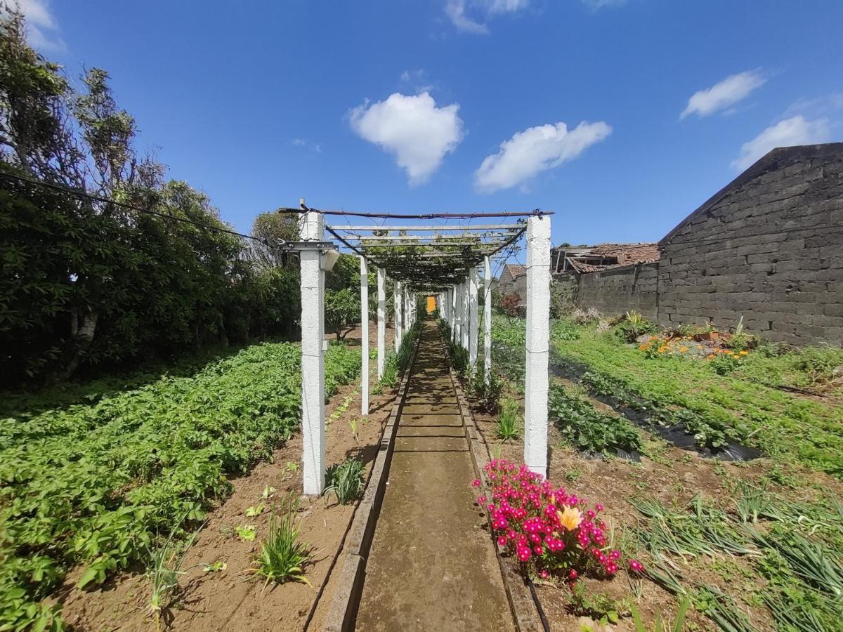 Casa Amarela De Santana Βίλα Ribeira Grande Εξωτερικό φωτογραφία